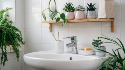 Modernes-weises-Badezimmer-mit-Bambusregal-und-Badezimmer-Pflanzen