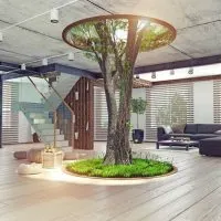 großer Baum mitten im Wohnzimmer