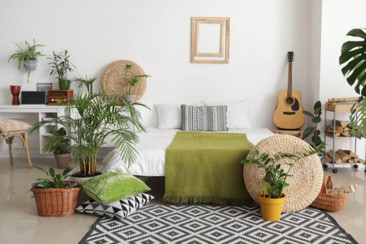 Pflanzen Fürs Schlafzimmer Der Ratgeber Für Bessere Schlafqualität!
