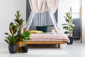 pflanzen-im-pastellfarbenen-schlafzimmerinnenraum