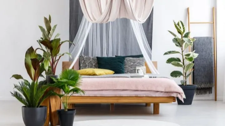 Pflanzen Fürs Schlafzimmer: Der Ratgeber Für Bessere Schlafqualität!