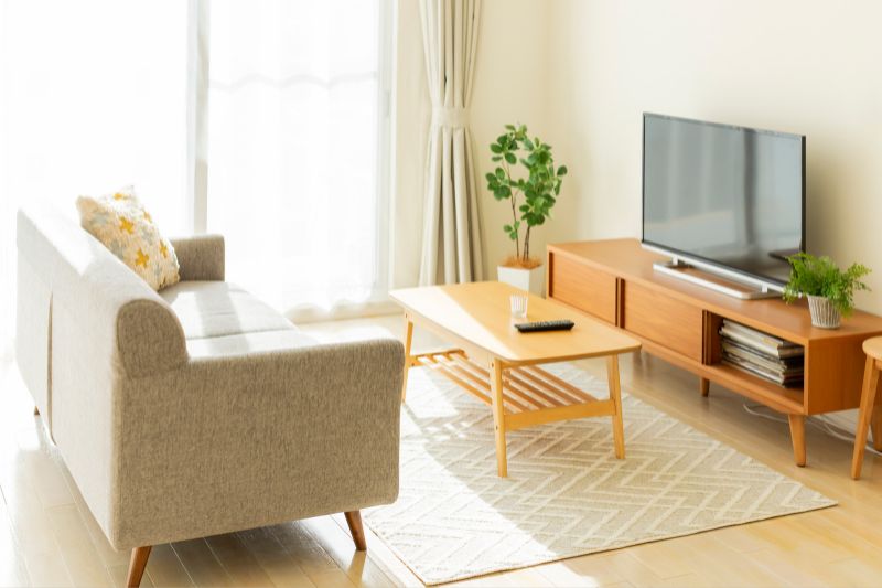 wohnzimmer-interior-design-zimmerpflanzen-tv-modern
