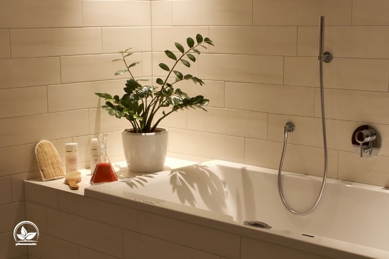 zamioculkas-badezimmer-pflanze-im-klasischem-badezimmer