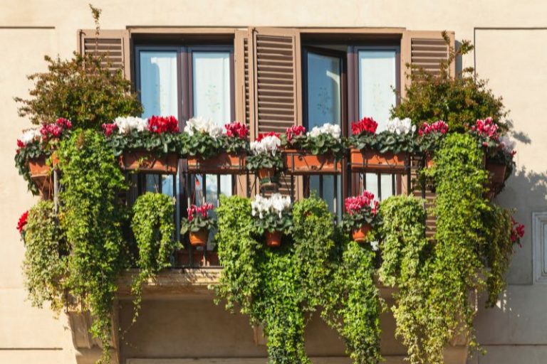 Hängepflanzen Balkon Die Schönsten 16 Hängepflanzen Für Den Balkon!