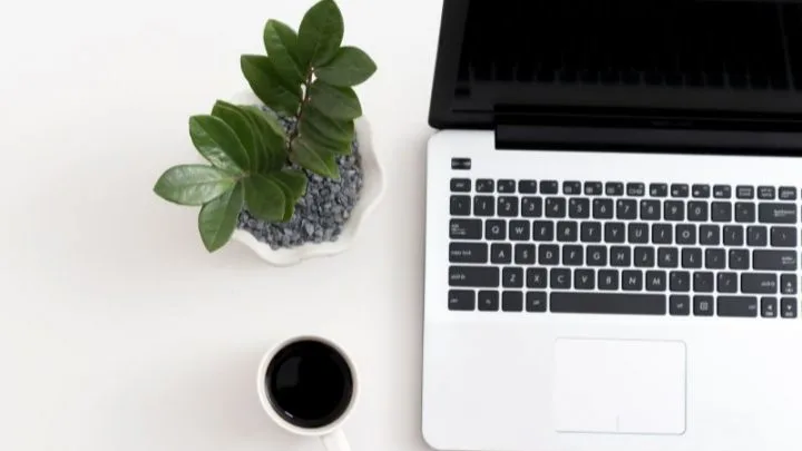 Büropflanzen: Diese Sind Die Besten Arten Für Ihren Arbeitsplatz!