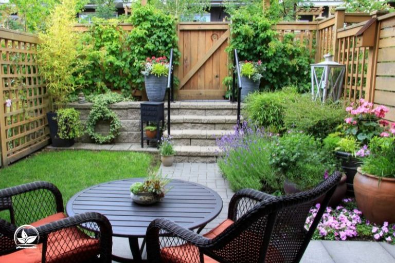 55+ Immergrüne Sehr Kleiner Garten, Immergrüne sträucher behalten