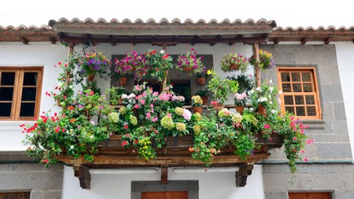 Hängepflanzen Balkon: Die Schönsten 16 Hängepflanzen Für Den Balkon!