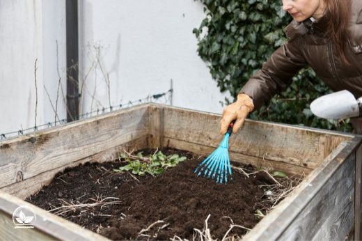 Gartenarbeit Im März Diese Gartenarbeiten Stehen Im Frühling An!