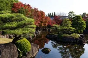 Japanische-Pflanzen_-Mit-Diesen-Wird-Ihr-Japanischer-Garten-Ein-Traum