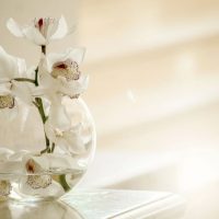Weise-Orchideenblute-in-einer-Vase