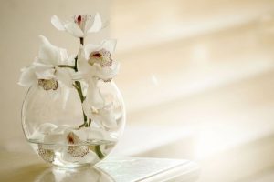 Weise-Orchideenblute-in-einer-Vase