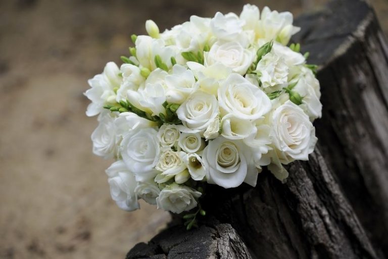 Weie Rosen Bedeutung Liebe