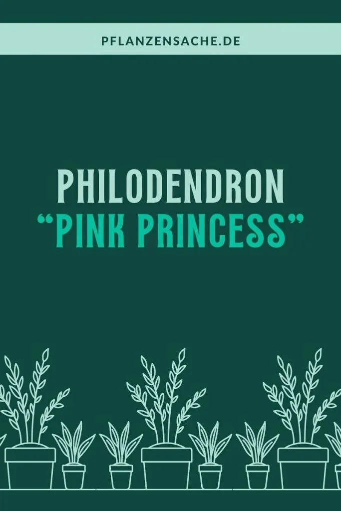 Philodendron Pink Princess pin