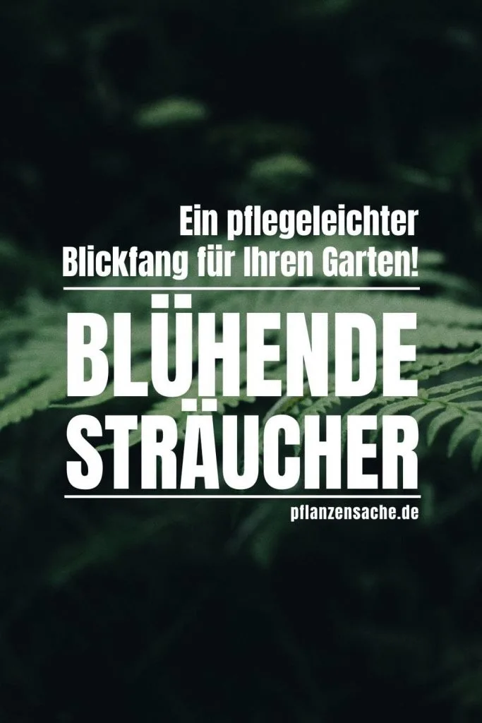 Bluhende-Straucher-1