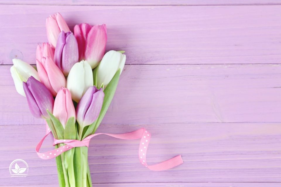 Die Sprache Der Blumen Welche Blume Steht Für Freundschaft?