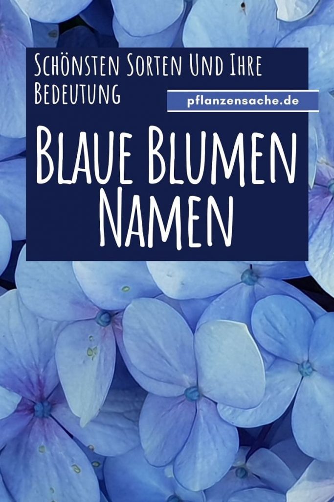 Blaue Blumen Namen pin