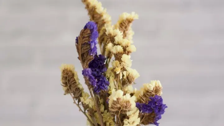 Blumen Trocknen Und Für Die Ewigkeit Aufbewahren: So Gehts Einfach!