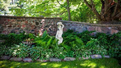 Bodendecker-Halbschatten_-Die-Schonsten-Gartenpflanzen-fur-Halbschattige-Orte