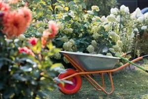 Low-Budget-Ideen für die Gestaltung eines wunderschönen Gartens