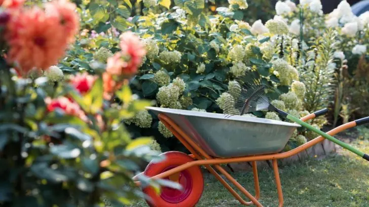 Gartengestaltung Im Budget: Garten Neu Gestalten, Tipps und Ideen!