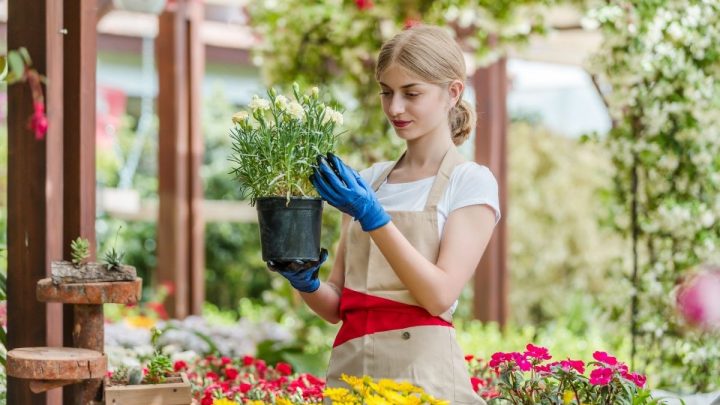Pflegeleichte Pflanzen Garten-Begrünung Leicht Und Einfach Gemacht!