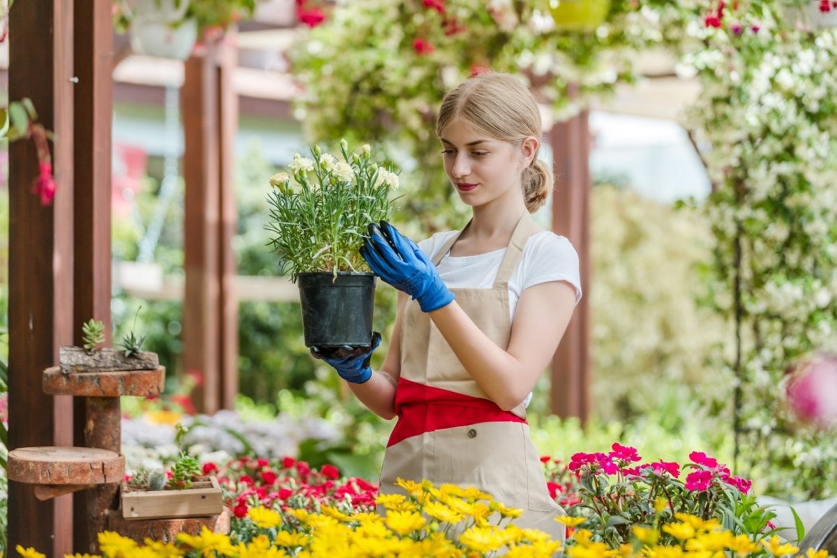 Pflegeleichte Pflanzen GartenBegrünung Leicht und Einfach Gemacht