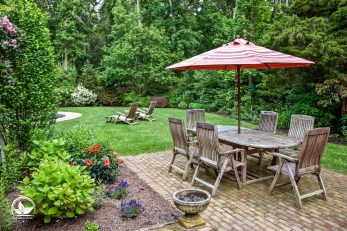 45+ Pflegeleichte Pflanze Garten, Wir haben 10 pflegeleichte