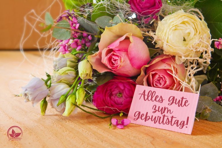 Geburtstagswünsche Blumen In Der Blumensprache Geburtstag Gratulieren