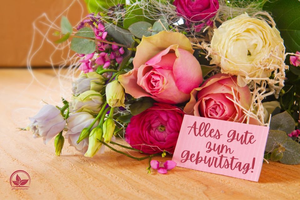 Geburtstagswünsche Blumen In Der Blumensprache Geburtstag Gratulieren