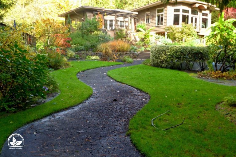 Wie Lange Braucht Rasen Zum Wachsen? Alles Über Grünen GartenTeppich