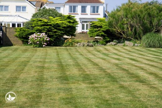 Wie Lange Braucht Rasen Zum Wachsen? Alles Über Grünen GartenTeppich