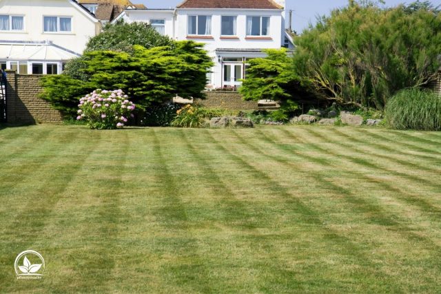 Wie Lange Braucht Rasen Zum Wachsen? Alles Über Grünen GartenTeppich
