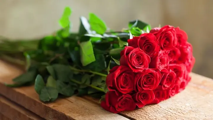 Hochstammrosen: Was Sind Sie Und Wie Pflegt Man Sie Richtig?