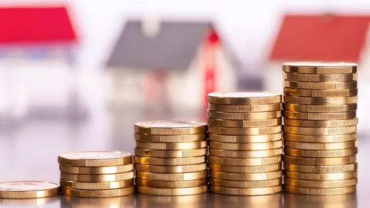 Teure Zimmerpflanzen: 13 Unikate Und Teure Zimmerpflanzen!