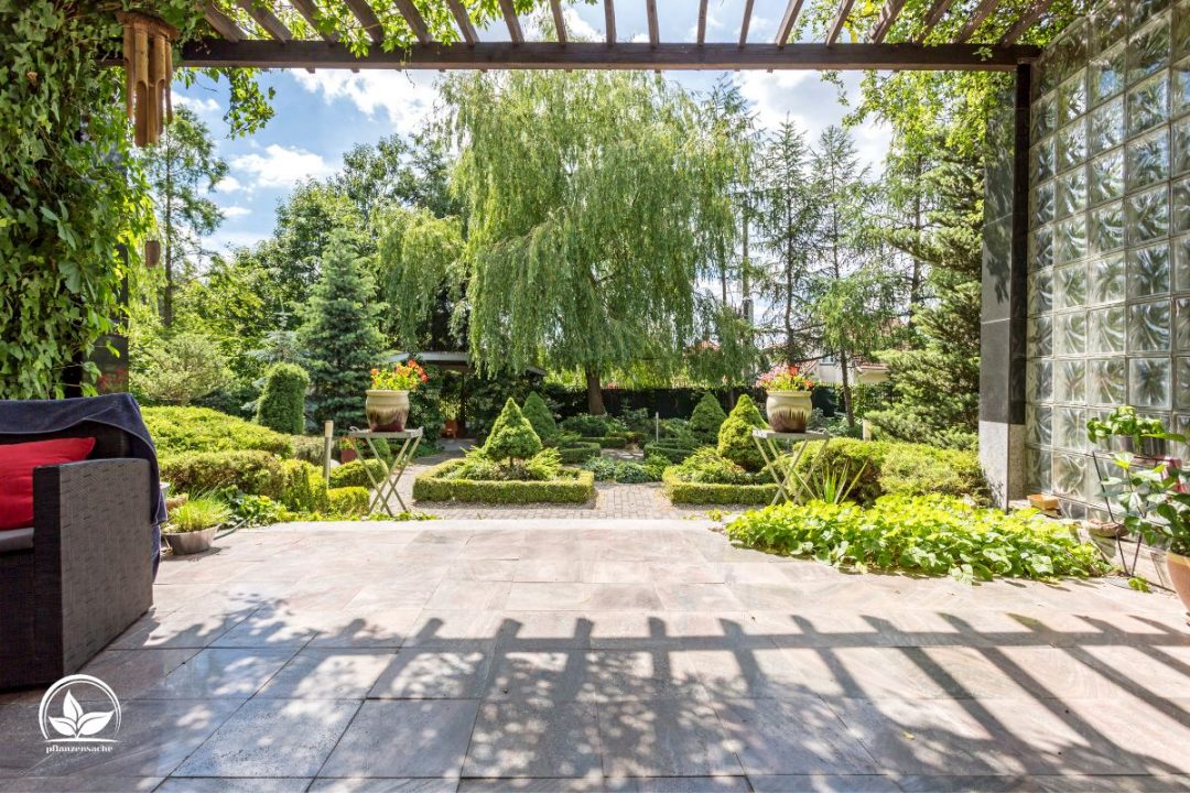 Tolle Alternative Zu Rasen Der Beste Rasenersatz Für Ihren Garten!
