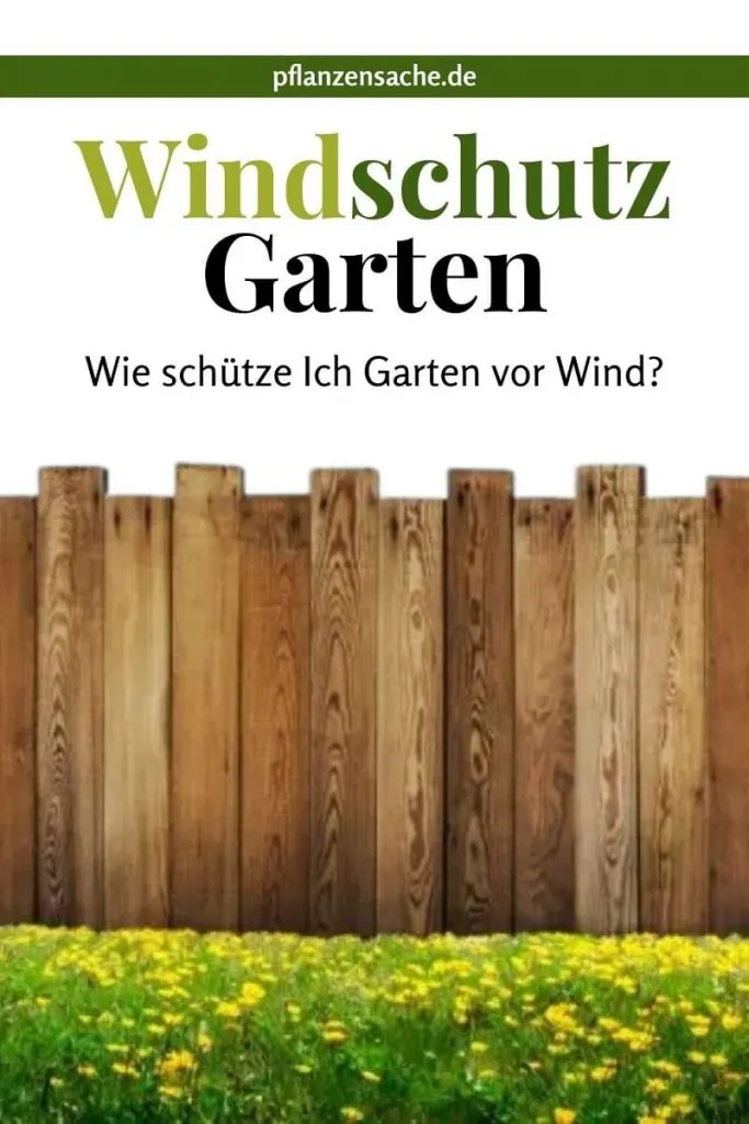 Windschutz Garten pin