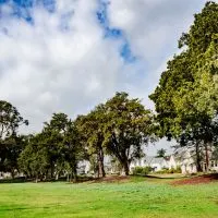 Windschutz-Garten_-Wie-Schutze-Ich-Garten-Vor-Wind