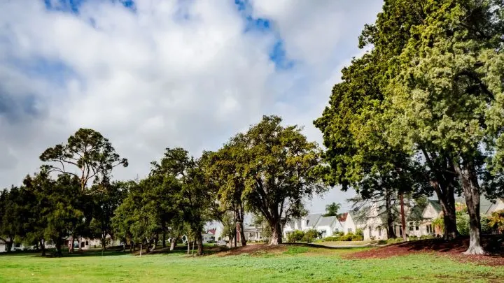 Windschutz Garten: Wie Schütze Ich Garten Vor Wind?