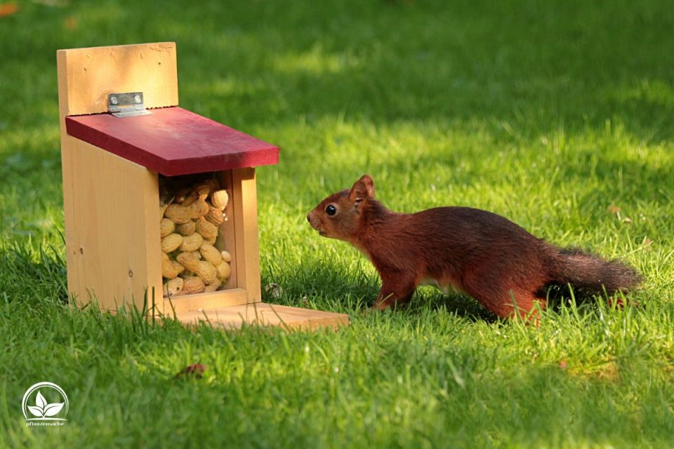 Tierkot Im Garten Wie Sieht Er Aus? Was Tue Ich Dagegen? Pflanzensache