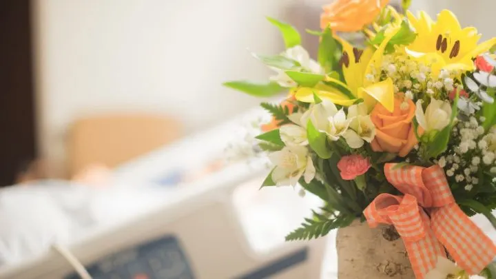 Gute Besserung Blumen: Sage Gute Besserung Mit Diesen Blumen!