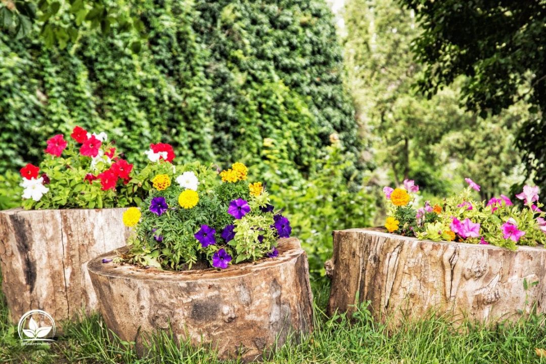 Baumstumpf Verschönern Tolle Ideen Und Möglichkeiten Für Den Garten
