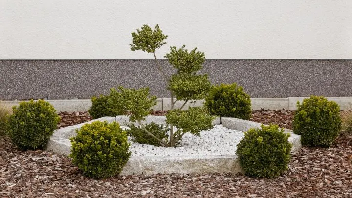 Kleingarten Gestalten: Diese Regeln Sollten Alle Kleingärtner Wissen!