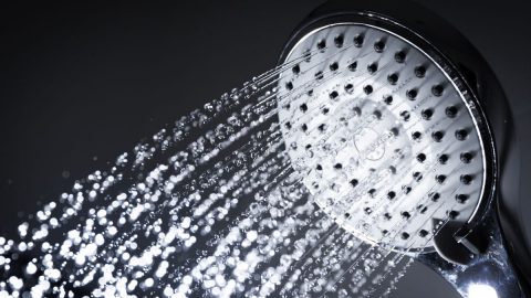 Pflanzen-Abduschen-Tipps_-Die-Vorteile-Der-Dusche-Fur-Zimmerpflanzen