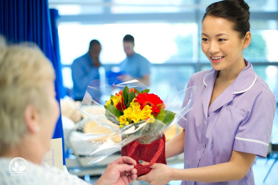 Nimmt Man Blumen Aus Dem Krankenhaus Mit Nach Hause pflanzensache.de