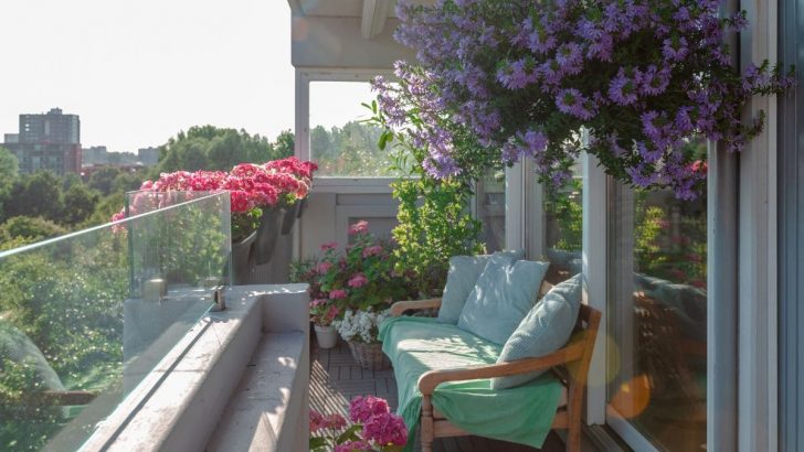 Balkonpflanzen: Winterhart, Mehrjährig Und Der Perfekte Blickfang!