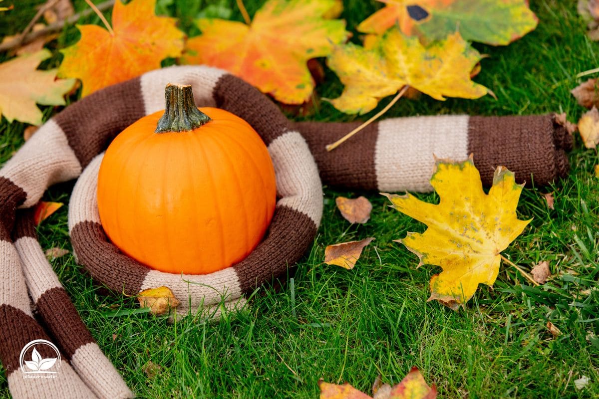 Die schönsten Gartenideen Für Den Herbst DekoIdeen, Tipps Und Tricks