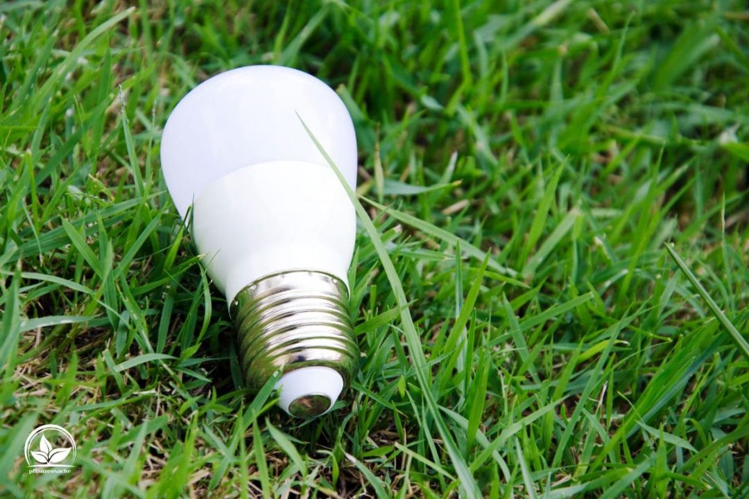 Künstliches Licht Für Pflanzen So Fördern Sie Das Schnelle Wachstum! Pflanzensache