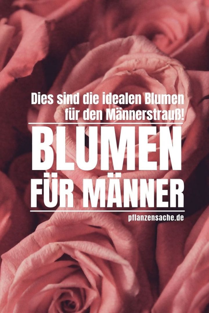 Blumen Fur Den Mann