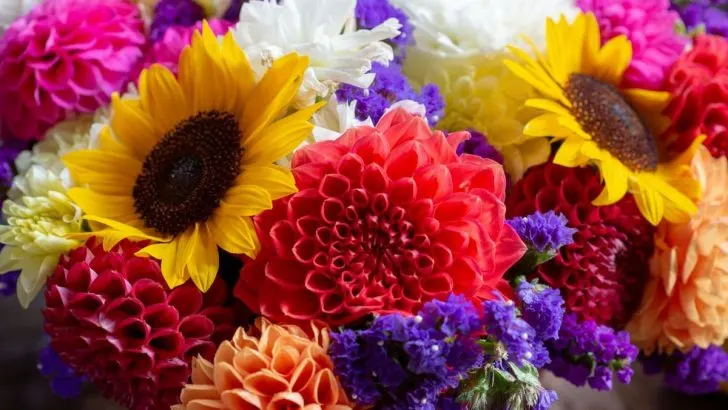 Schnittblumen Arten: Das Blumenlexikon Mit Den Schönsten Strauß-Sorten