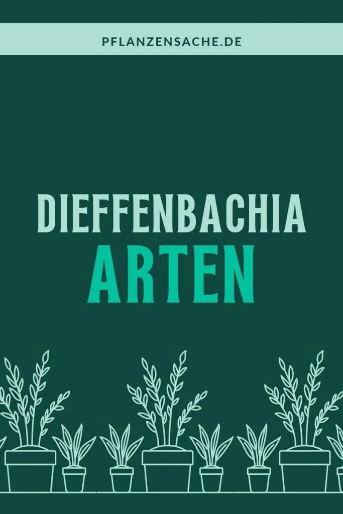 Dieffenbachia Arten